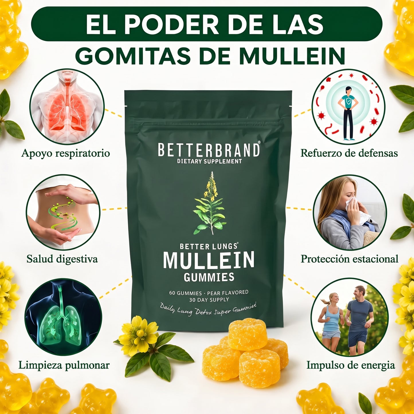 GOMITAS DE GORDOLOBO (MULLIEN) | RESPIRACIÓN ÓPTIMA